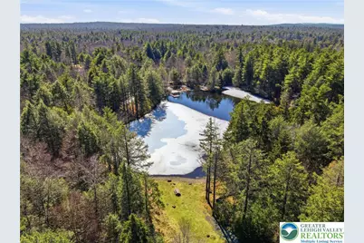 158 Halgas Lane, Tobyhanna Twp, PA 18350 - Photo 15