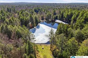 158 Halgas Ln, Tobyhanna Twp, PA 18350 - Photo 15