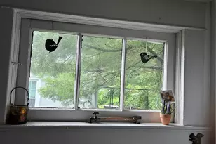 815 Wilbur St, Easton, PA 18042 - Photo 17