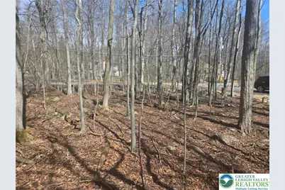 Chipmunk Drive, Coolbaugh Twp, PA 18466 - Photo 5