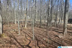 Chipmunk Dr, Coolbaugh Twp, PA 18466 - Photo 5