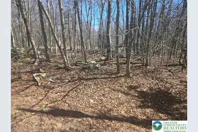 Chipmunk Drive, Coolbaugh Twp, PA 18466 - Photo 3