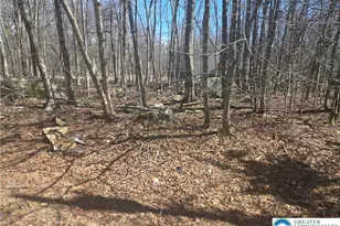 Chipmunk Dr, Coolbaugh Twp, PA 18466 - Photo 3