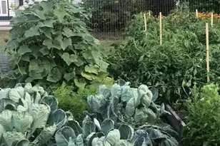 32 Shore Dr, , PA 18657 - Photo 23