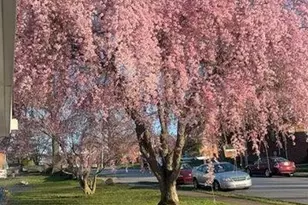 947 N Warren St, Pottstown Boro, PA 19464 - Photo 3