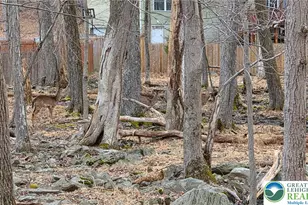 Indian Way, East Stroudsburg, PA 18302 - Photo 5