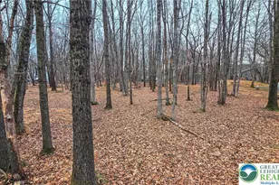 Linden Dr, Tunkhannock Twp, PA 18210 - Photo 5