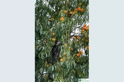 912 S Lincoln Avenue, Walnutport Boro, PA 18088 - Photo 31