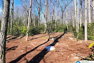 67 Forest Lake Dr, Penn Forrest, PA 18229 - Photo 45