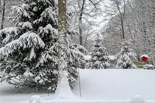 86 Burnshaw Ln, Penn Forrest, PA 18210 - Photo 57