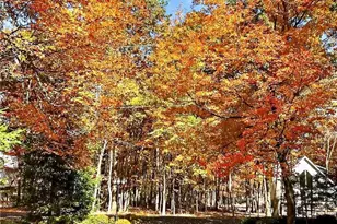 86 Burnshaw Ln, Penn Forrest, PA 18210 - Photo 55