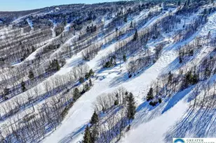 298 Overlook Way, Jackson Twp, PA 18372 - Photo 57