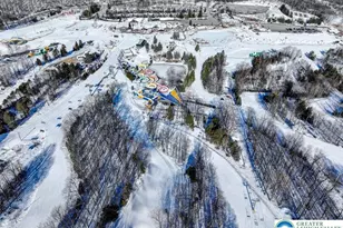 298 Overlook Way, Jackson Twp, PA 18372 - Photo 59