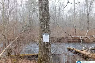 156 Pine Flats Colony Rd, Porter Twp, PA 18328 - Photo 13