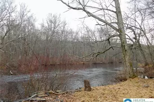 156 Pine Flats Colony Rd, Porter Twp, PA 18328 - Photo 15