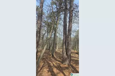 826 Laurel Road, Pocono Summit, PA 18344 - Photo 13