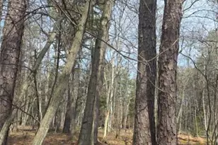 826 Laurel Rd, Pocono Summit, PA 18344 - Photo 13