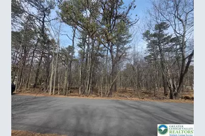 826 Laurel Road, Pocono Summit, PA 18344 - Photo 11