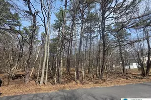 826 Laurel Rd, Pocono Summit, PA 18344 - Photo 5