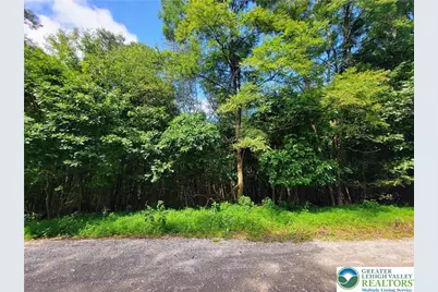 Whitetail Crossing Road, Walker Twp, PA 18252 - Photo 1