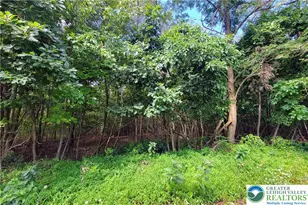 Whitetail Crossing Rd, Walker Twp, PA 18252 - Photo 3