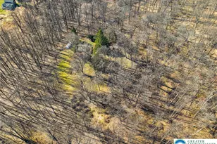 9213 Landis Ln, Lower Milford Township, PA 18041 - Photo 5