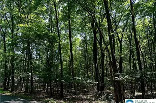 500 Sumac Ct, Polk Twp, PA 18058 - Photo 7