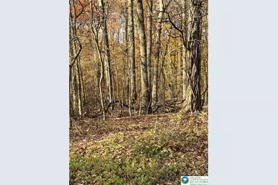 Shooktown Road, Washington Twp, PA 18013 - Photo 5