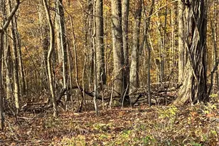 Shooktown Rd, Washington Twp, PA 18013 - Photo 5