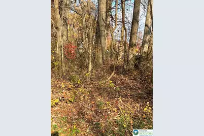 Shooktown Road, Washington Twp, PA 18013 - Photo 7