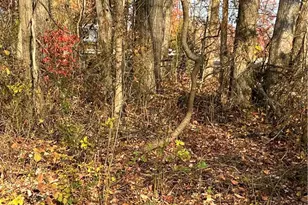 Shooktown Rd, Washington Twp, PA 18013 - Photo 7