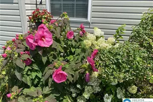 1350 Caspian St, South Whitehall Township, PA 18104 - Photo 29