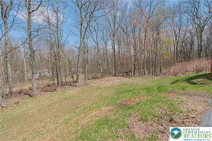 60 Woodside Dr, Butler Twp, PA 18224 - Photo 49