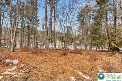 108 Mink Lane, Bushkill, PA 18324 - Photo 31