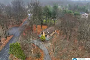 391 Towamensing Trail, Penn Forrest, PA 18210 - Photo 3