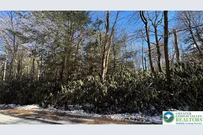 Woodlands Road, Kidder Twp, PA 18210 - Photo 3