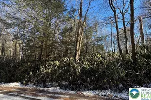 Woodlands Rd, Kidder Twp, PA 18210 - Photo 3