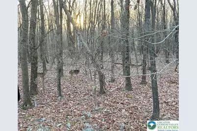 121 Piute Trail #CP1002, Penn Forrest, PA 18210 - Photo 1