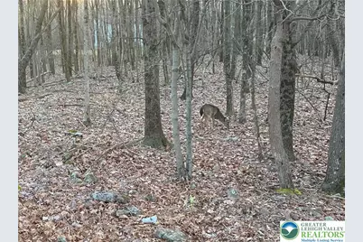 121 Piute Trail #CP1002, Penn Forrest, PA 18210 - Photo 5