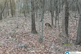 121 Piute Trail, Penn Forrest, PA 18210 - Photo 5