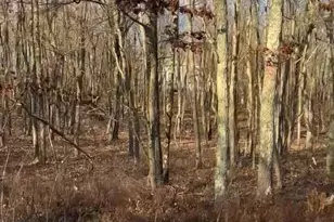 55 Arapahoe Rd, Penn Forrest, PA 18210 - Photo 1