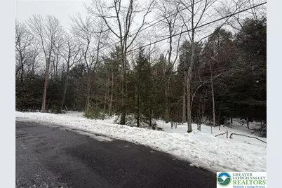 Dryden Drive, Penn Forrest, PA 18210 - Photo 1