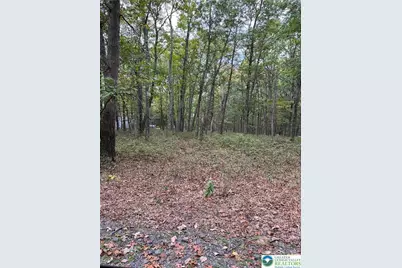 275 Forest Drive, Price Twp, PA 18325 - Photo 1