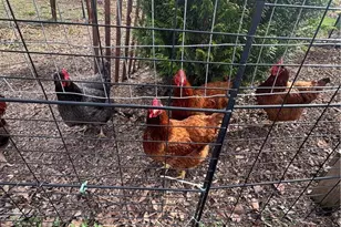 1220 Juno Dr, Chestnuthill Twp, PA 18330 - Photo 13