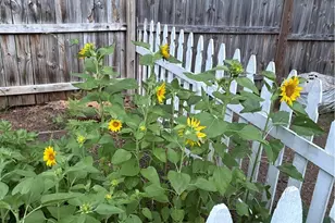 1220 Juno Dr, Chestnuthill Twp, PA 18330 - Photo 15