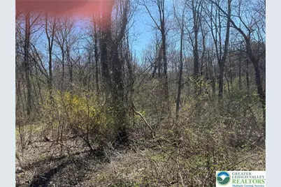 1318 Blue Church Road, Lower Milford Township, PA 18036 - Photo 1