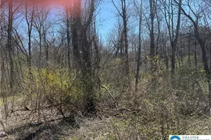 1318 Blue Church Rd, Lower Milford Township, PA 18036 - Photo 1