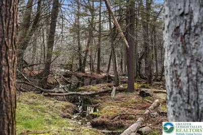 369 Sidney Avenue, Pocono Summit, PA 18346 - Photo 31