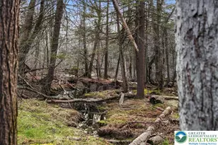 369 Sidney Ave, Coolbaugh Twp, PA 18346 - Photo 31