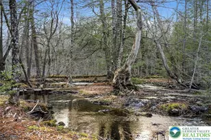 369 Sidney Ave, Coolbaugh Twp, PA 18346 - Photo 3